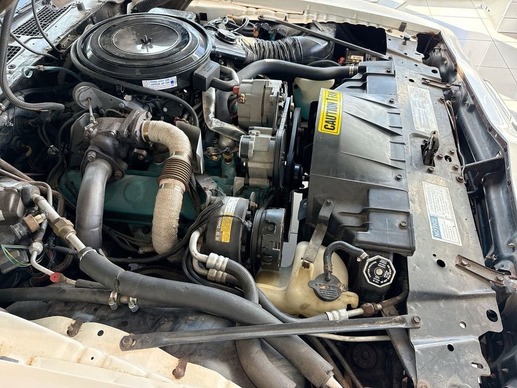 1981 Pontiac Firebird SE